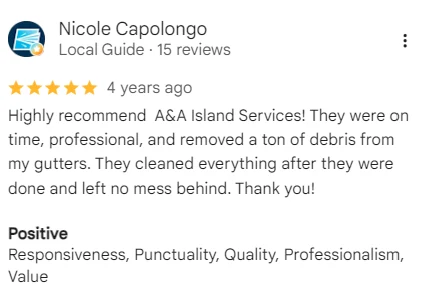 Google review of A&A Island Services by Nicole Capolongo: Highly recommend A&A Island Services! They were on time, professional, and removed a ton of debris from my gutters. They cleaned everything