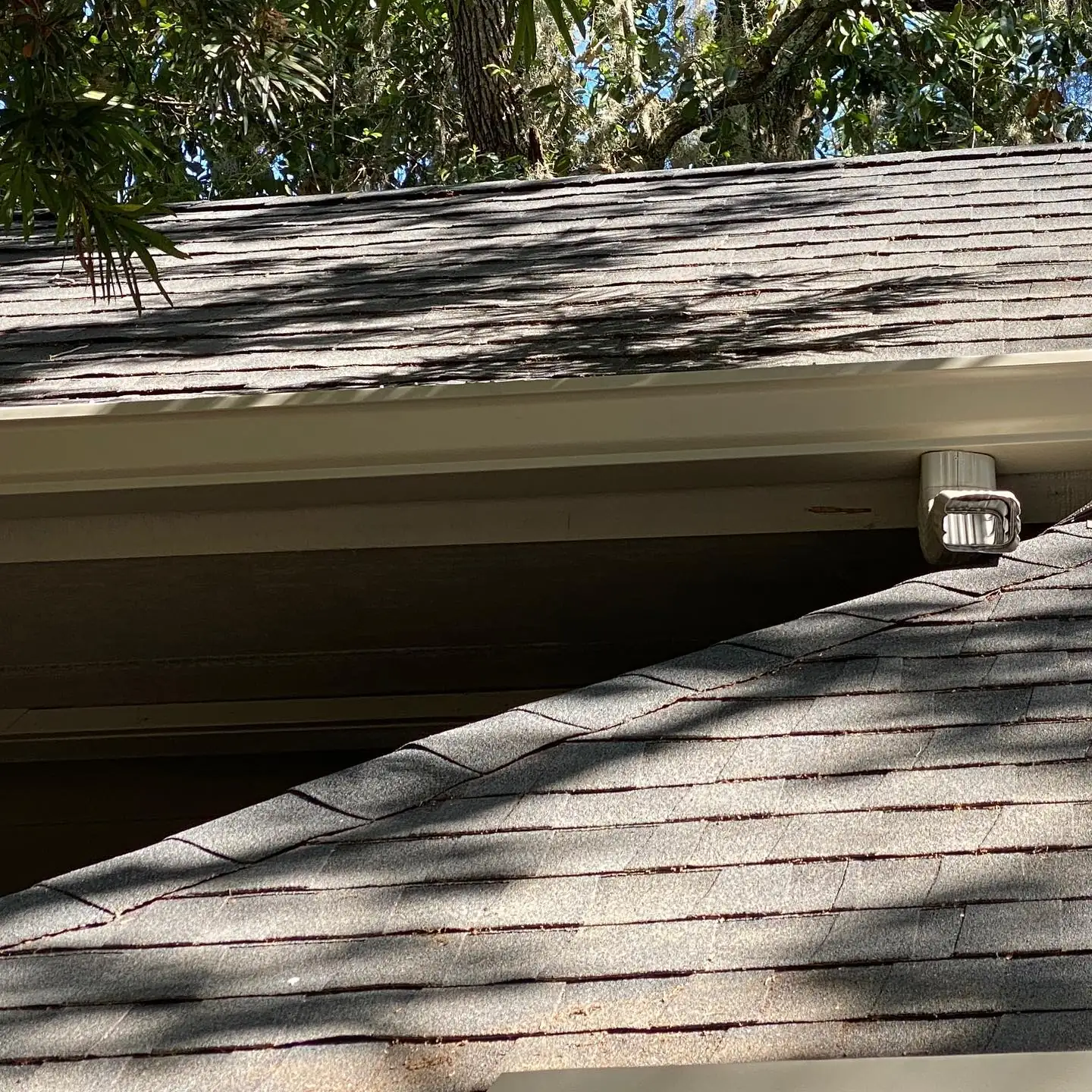 Clear gutter and downspout outlet along a shingle roof under trees. Gutter Guards in Bluffton, SC by A&A Island Services